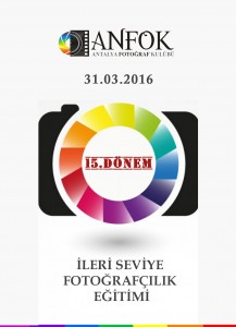 İLERİ-15