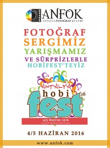 HOBİFEST2