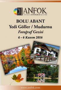 bolu