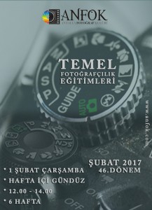yeni temelHİG