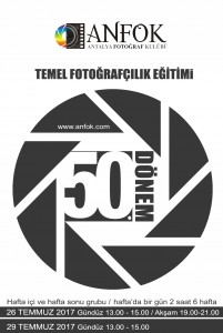 50.dönem