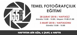 55 TEMEL WEB