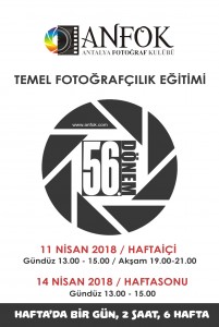 56TEMEL